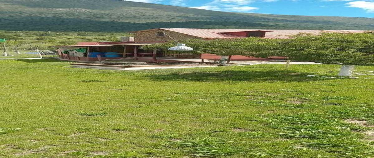 Foto de rancho en venta en arteaga , arteaga centro, arteaga, coahuila de zaragoza, 30624899 No. 03