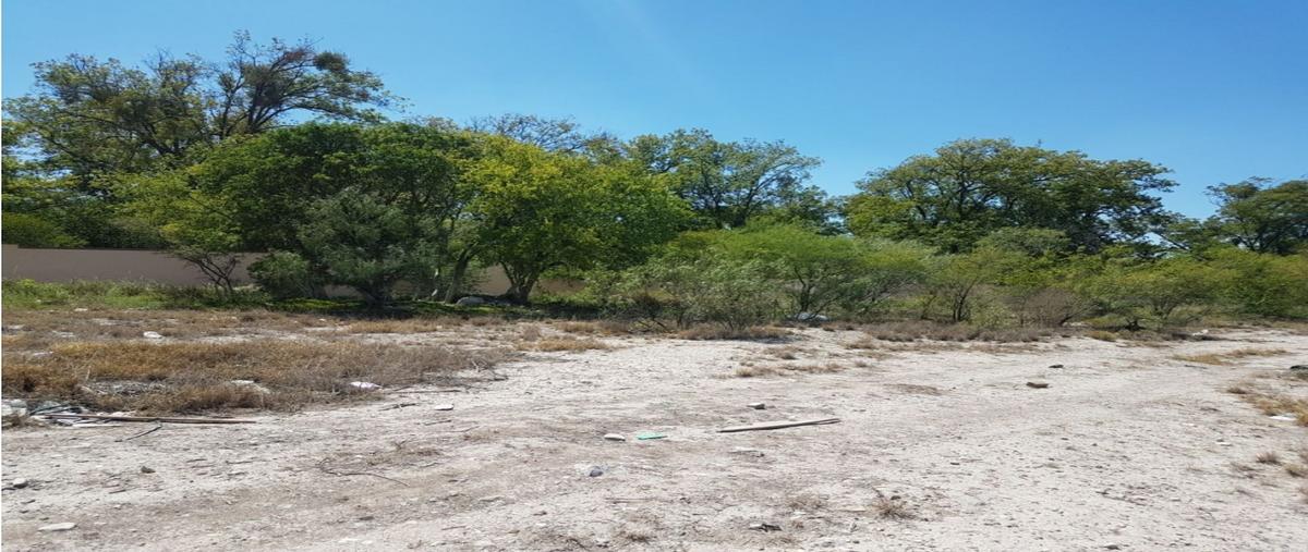 Foto de terreno habitacional en venta en  , arteaga centro, arteaga, coahuila de zaragoza, 0 No. 03