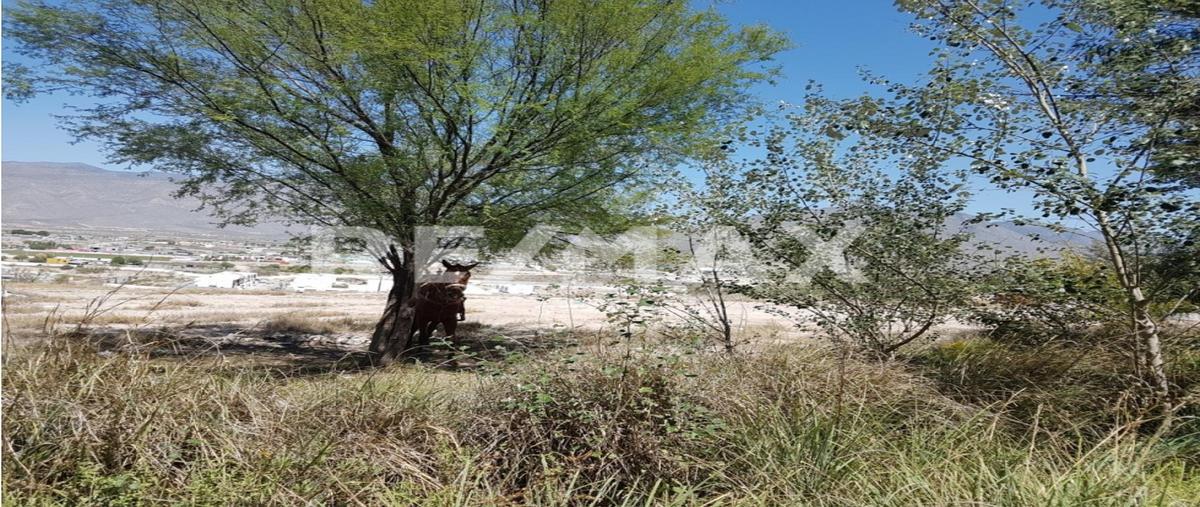 Foto de terreno habitacional en venta en  , arteaga centro, arteaga, coahuila de zaragoza, 0 No. 05