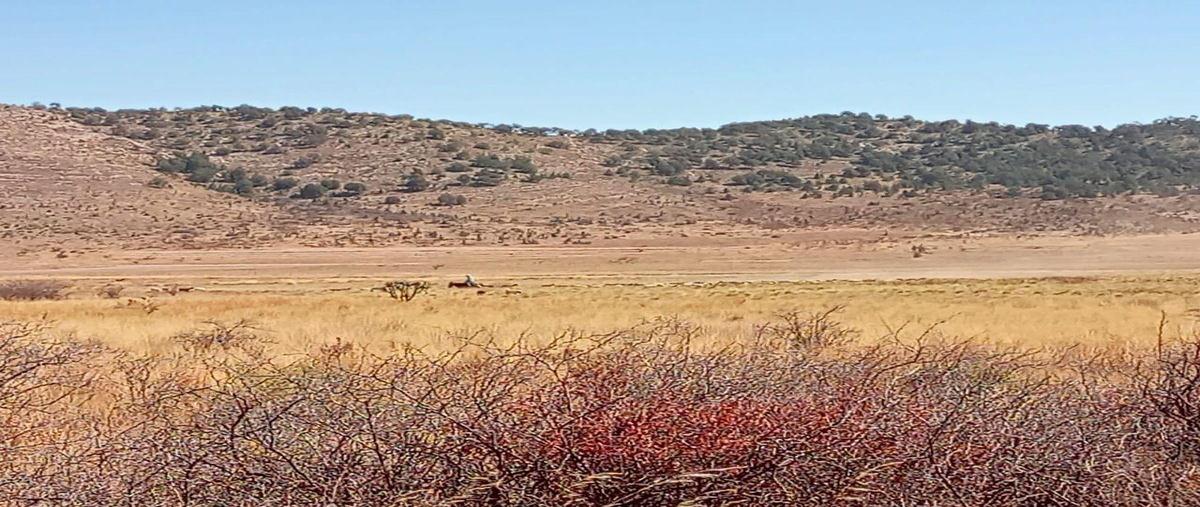 Foto de rancho en venta en  , arteaga centro, arteaga, coahuila de zaragoza, 0 No. 04
