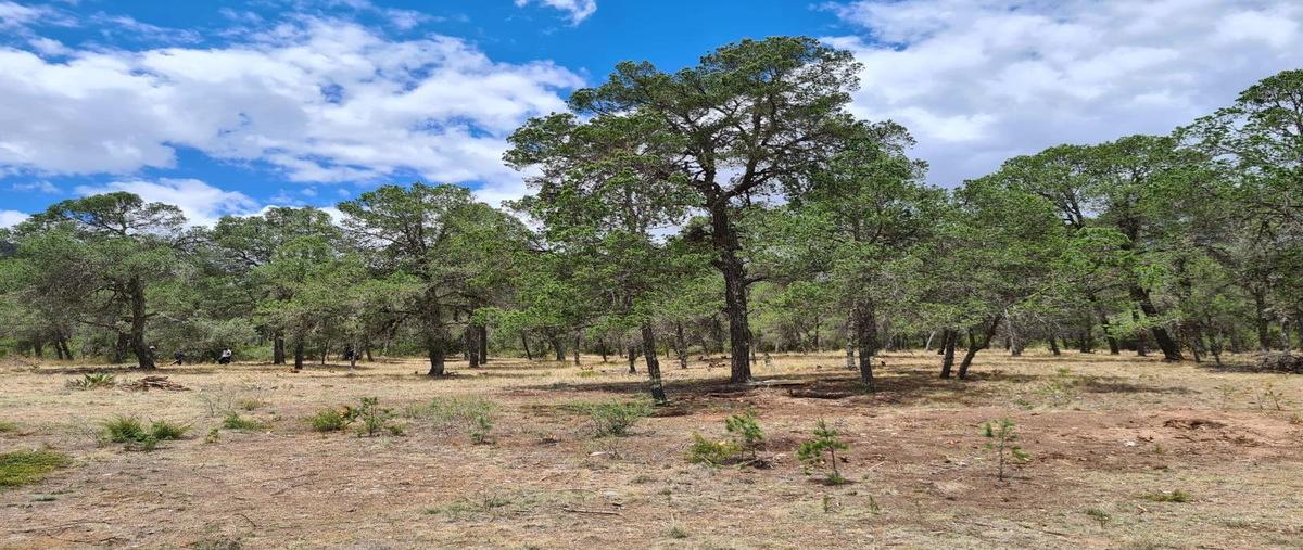 Foto de terreno habitacional en , arteaga centro, arteaga, coahuila de zaragoza, 0 foto 01 Foto de terreno habitacional en venta en , arteaga centro, arteaga, coahuila de zaragoza, 0 No. 01
