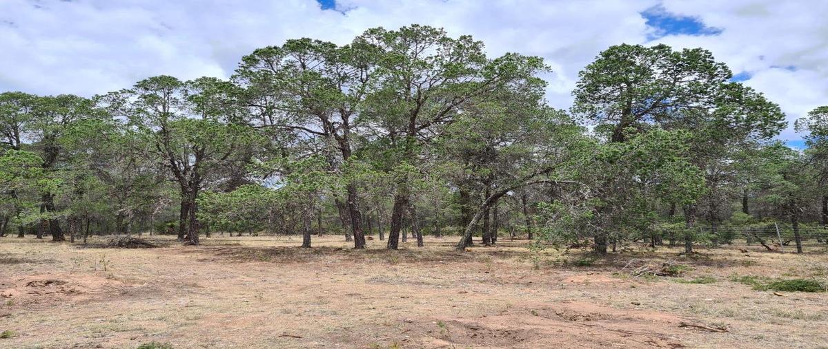Foto de terreno habitacional en , arteaga centro, arteaga, coahuila de zaragoza, 0 foto 02 Foto de terreno habitacional en venta en , arteaga centro, arteaga, coahuila de zaragoza, 0 No. 02