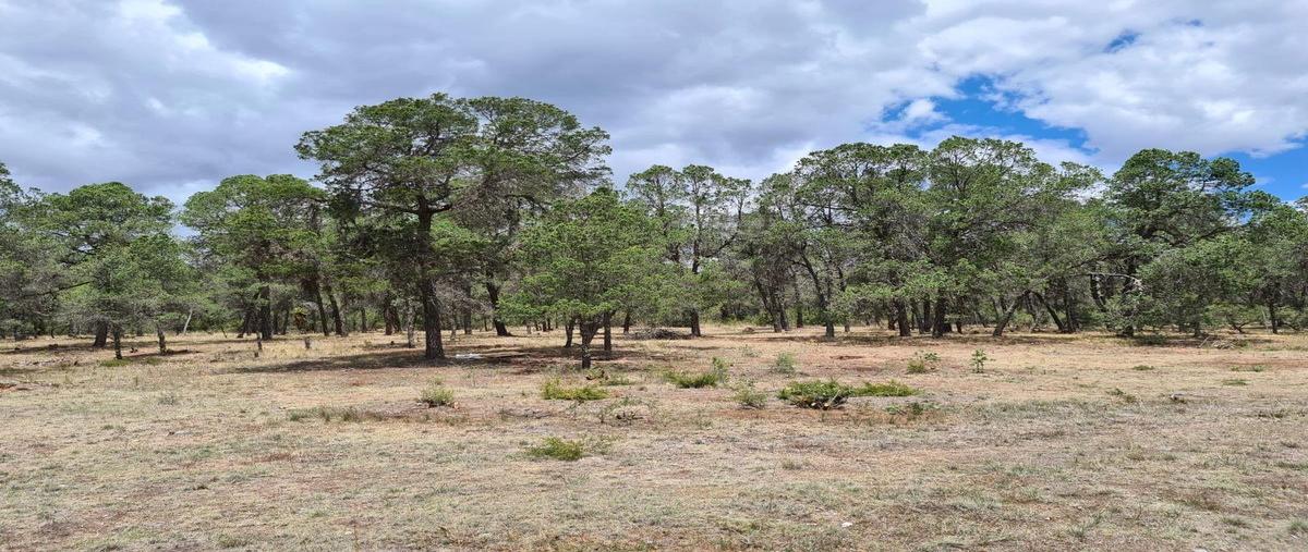 Foto de terreno habitacional en , arteaga centro, arteaga, coahuila de zaragoza, 0 foto 03 Foto de terreno habitacional en venta en , arteaga centro, arteaga, coahuila de zaragoza, 0 No. 03