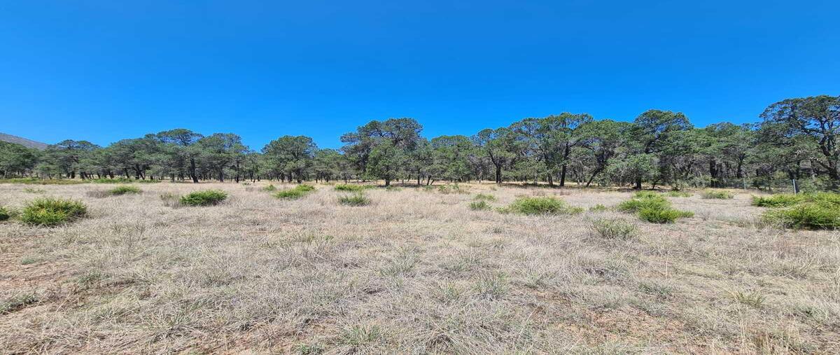 Foto de terreno habitacional en , arteaga centro, arteaga, coahuila de zaragoza, 0 foto 05 Foto de terreno habitacional en venta en , arteaga centro, arteaga, coahuila de zaragoza, 0 No. 05