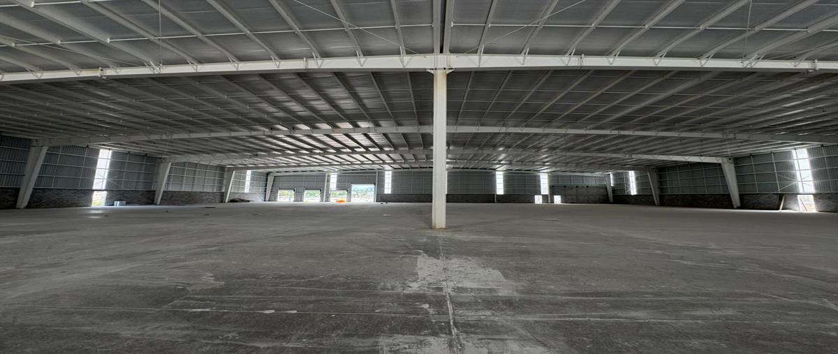 Foto de nave industrial en renta en  , arteaga centro, arteaga, coahuila de zaragoza, 30455522 No. 05