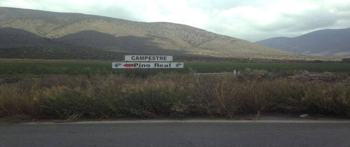 Foto de casa en venta en  , arteaga centro, arteaga, coahuila de zaragoza, 0 No. 03