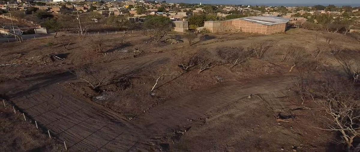 Foto de terreno habitacional en venta en artículo 27 27, la floresta, chapala, jalisco, 28132347 No. 03