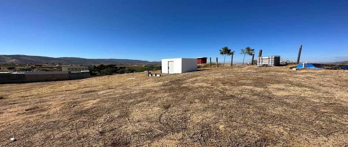 Foto de terreno habitacional en , artículo ciento quince, ensenada, baja california, 0 foto 01 Foto de terreno habitacional en renta en , artículo ciento quince, ensenada, baja california, 0 No. 01