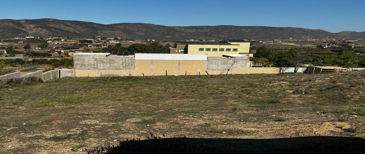 Foto de terreno habitacional en , artículo ciento quince, ensenada, baja california, 0 foto 04 Foto de terreno habitacional en renta en , artículo ciento quince, ensenada, baja california, 0 No. 04