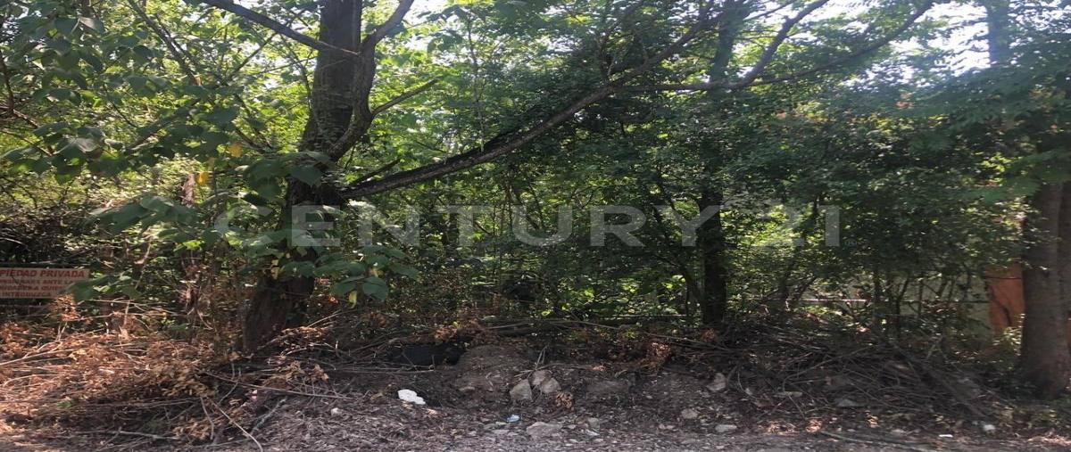 Foto de terreno habitacional en venta en  , arturo cavazos, santiago, nuevo león, 0 No. 04