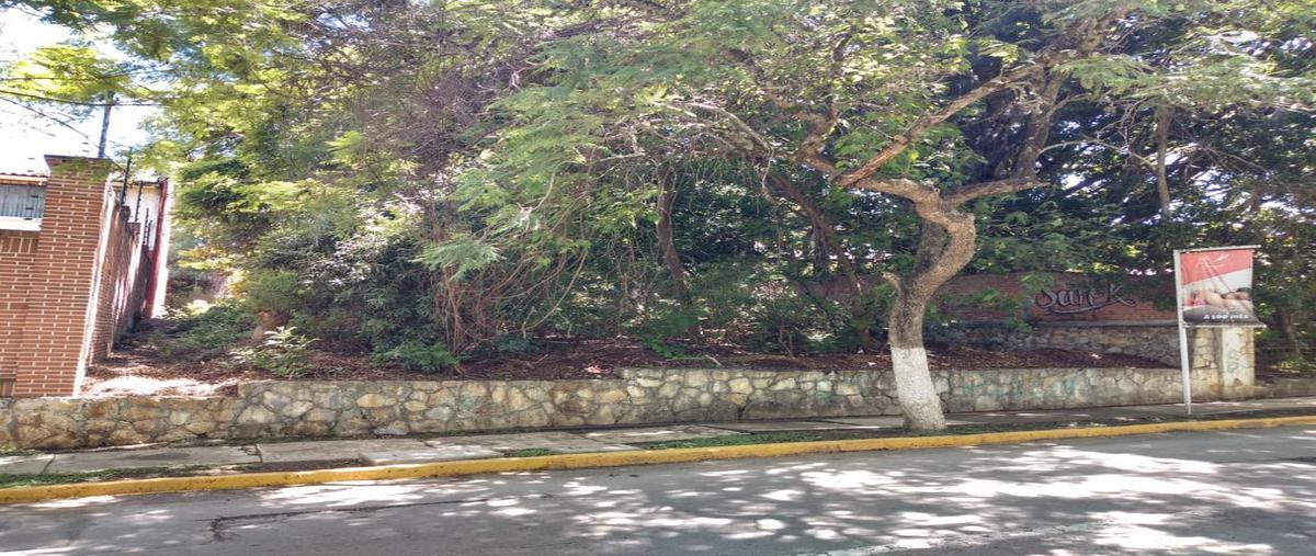 Foto de terreno habitacional en venta en arturo san roman , ixtapan de la sal, ixtapan de la sal, méxico, 25424354 No. 05