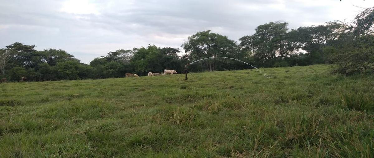 Foto de terreno comercial en venta en astillero de arriba 0, el astillero de arriba, colima, colima, 0 No. 01