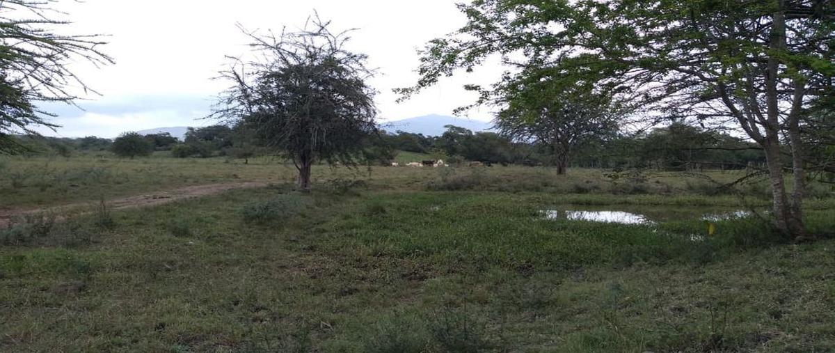 Foto de terreno comercial en venta en astillero de arriba 0, el astillero de arriba, colima, colima, 0 No. 03