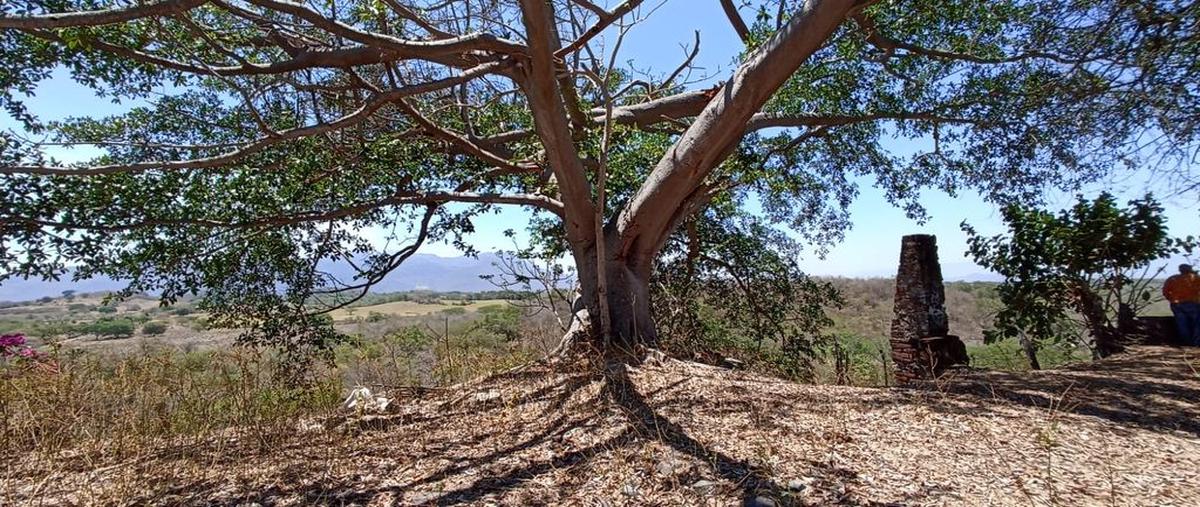 Foto de terreno comercial en venta en astillero de arriba , el astillero de arriba, colima, colima, 0 No. 01