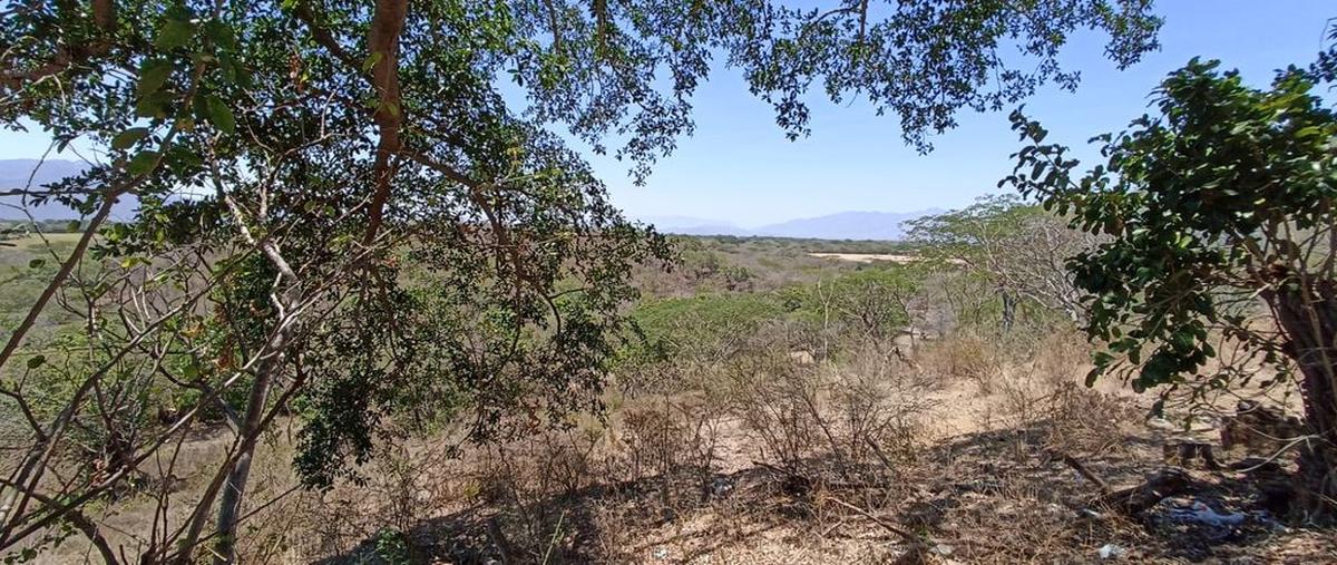Foto de terreno comercial en venta en astillero de arriba , el astillero de arriba, colima, colima, 0 No. 05