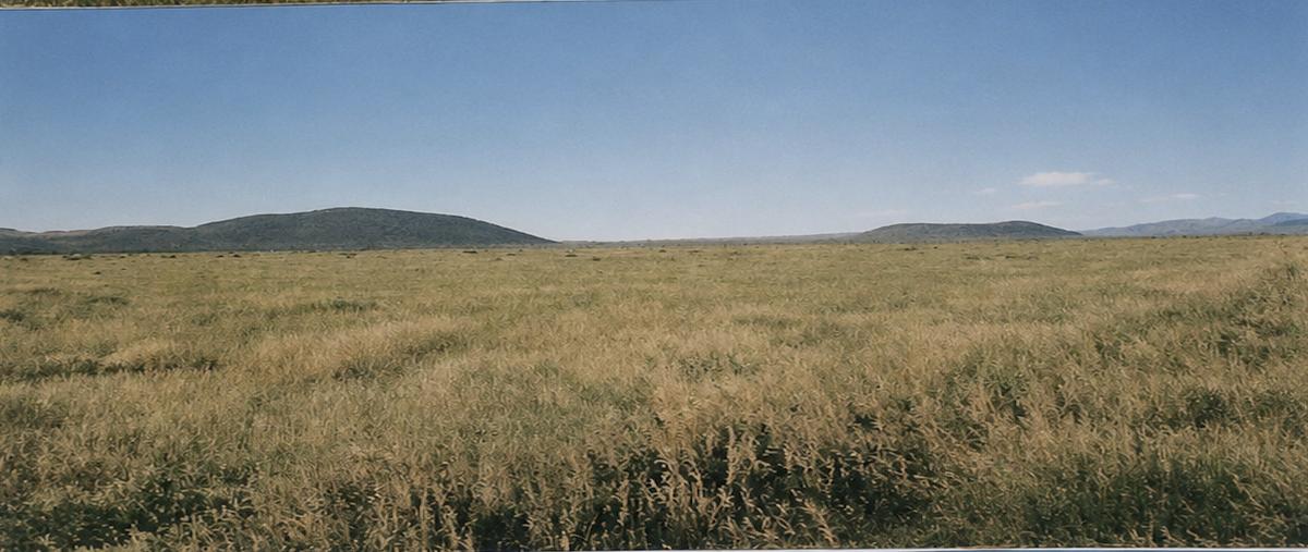 Foto de terreno habitacional en venta en  , astillero, saltillo, coahuila de zaragoza, 0 No. 03