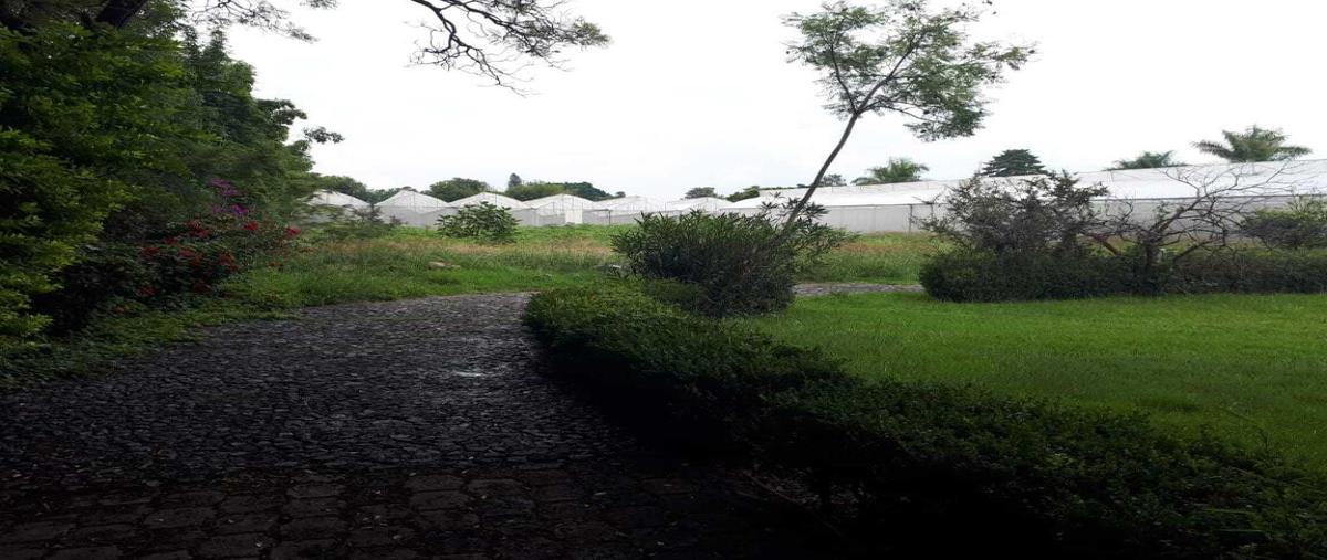 Foto de rancho en venta en asunción , la joya (agropecuaria tenextepec), atlixco, puebla, 25884245 No. 03