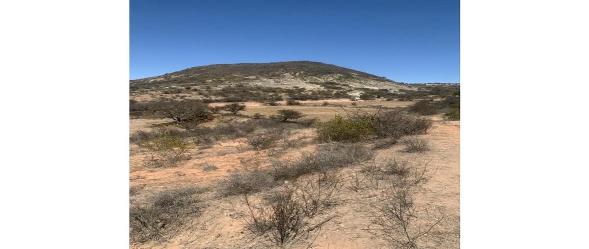 Foto de terreno habitacional en venta en  , asunción nochixtlan centro, asunción nochixtlán, oaxaca, 0 No. 03