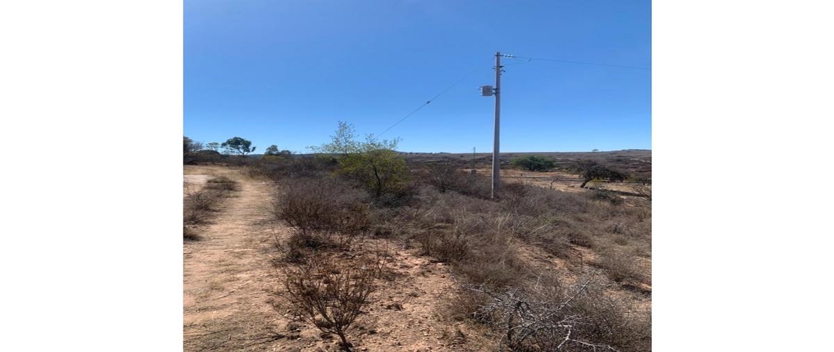 Foto de terreno habitacional en venta en  , asunción nochixtlan centro, asunción nochixtlán, oaxaca, 0 No. 04