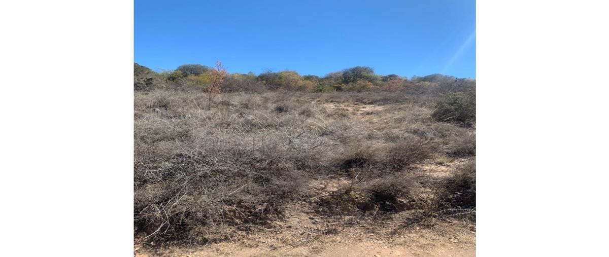 Foto de terreno habitacional en venta en  , asunción nochixtlan centro, asunción nochixtlán, oaxaca, 0 No. 05