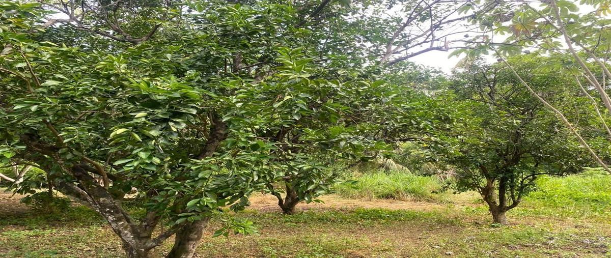 Foto de terreno habitacional en venta en  , atasta, carmen, campeche, 27310681 No. 05