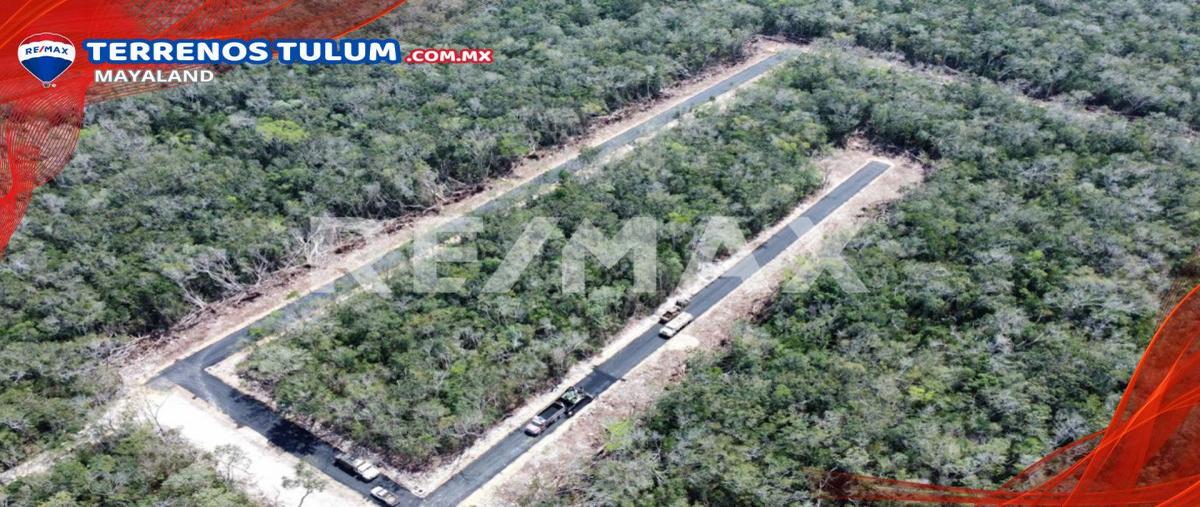Foto de terreno habitacional en atby , tulum centro, tulum, quintana roo, 29712606 foto 02 Foto de terreno habitacional en venta en atby , tulum centro, tulum, quintana roo, 29712606 No. 02