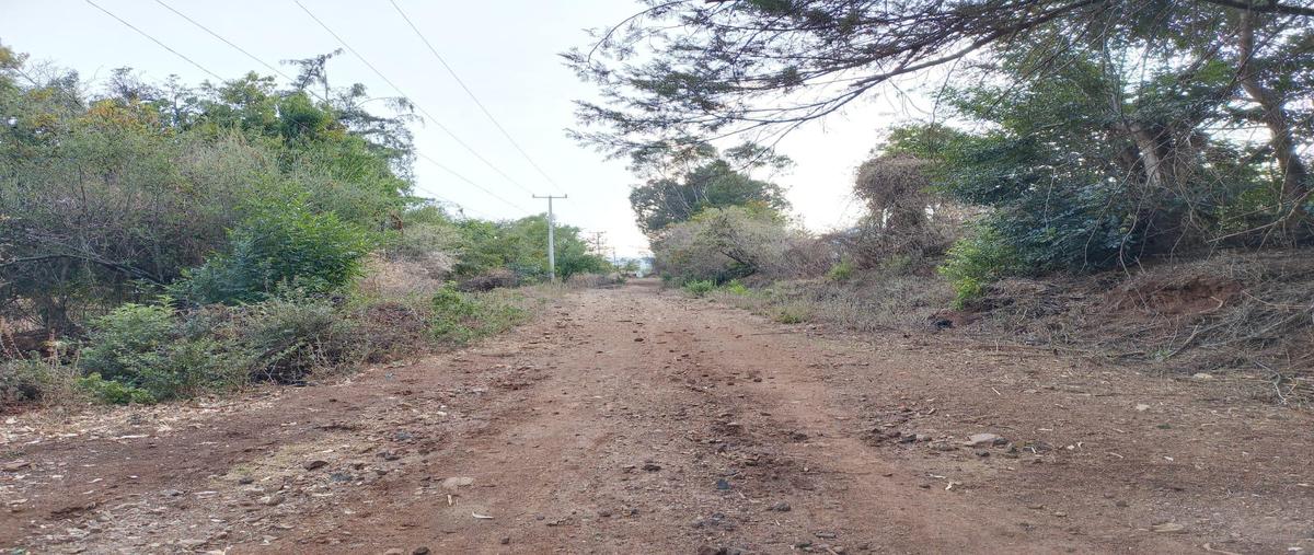 Foto de terreno habitacional en venta en  , atécuaro, morelia, michoacán de ocampo, 28126980 No. 03