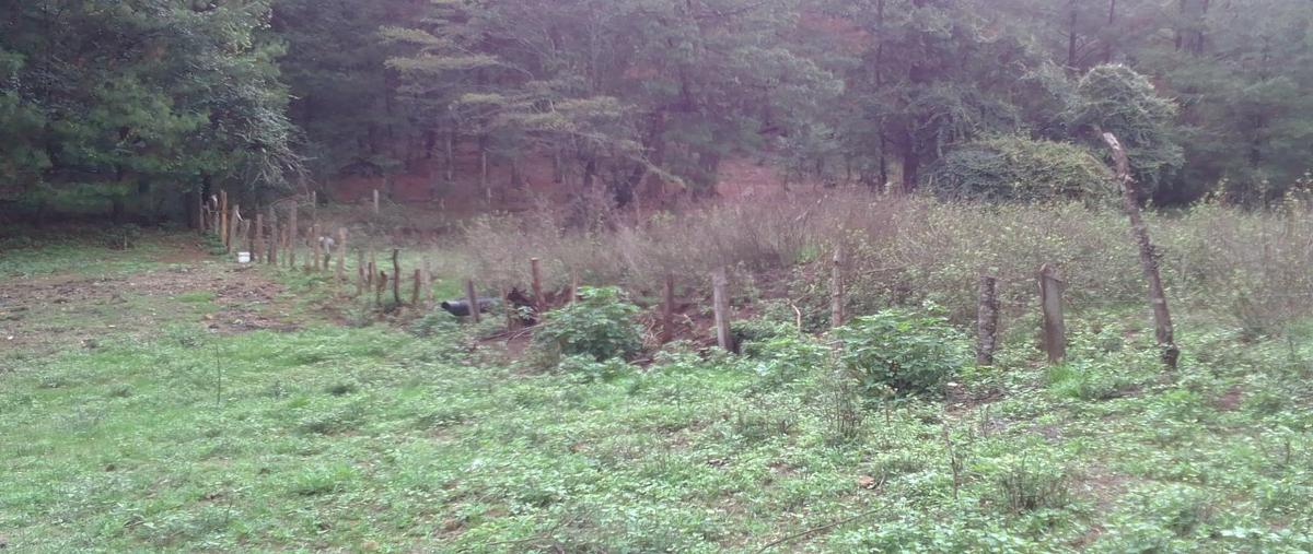 Foto de terreno habitacional en venta en  , atécuaro, morelia, michoacán de ocampo, 0 No. 03