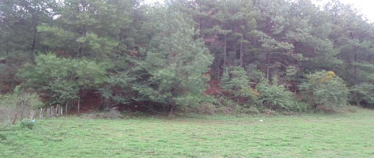 Foto de terreno habitacional en venta en  , atécuaro, morelia, michoacán de ocampo, 0 No. 04