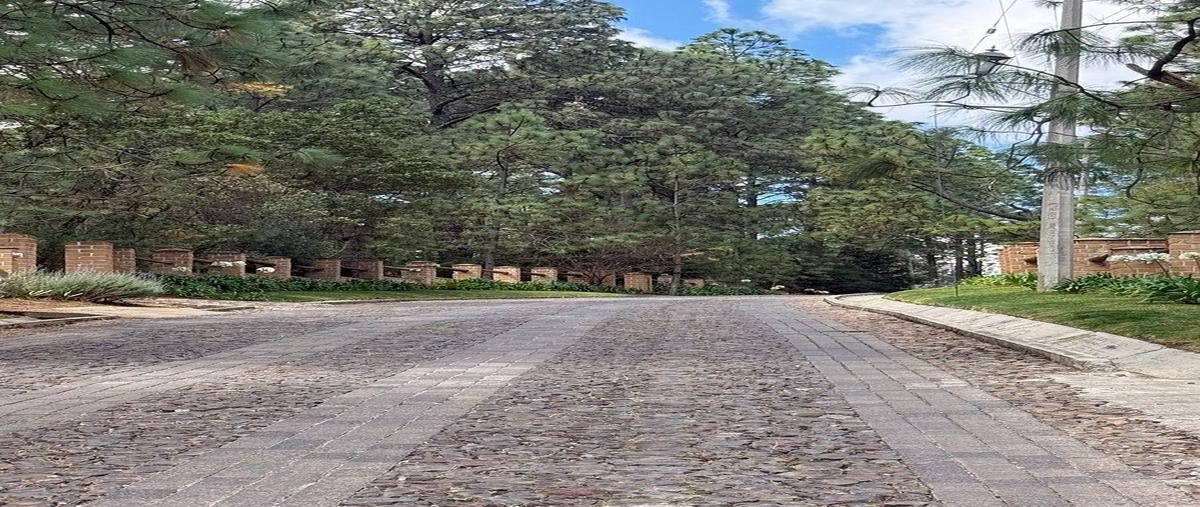 Foto de terreno habitacional en venta en atemajac de brizuela a 3km. desupermanzana carretera kilometro 5.549340 la fronterajal. , tapalpa, tapalpa, jalisco, 0 No. 03