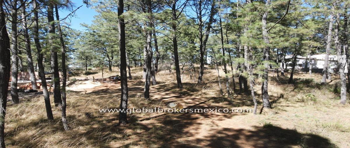 Foto de terreno habitacional en , atemajac de brizuela, atemajac de brizuela, jalisco, 27647917 foto 02 Foto de terreno habitacional en venta en , atemajac de brizuela, atemajac de brizuela, jalisco, 27647917 No. 02