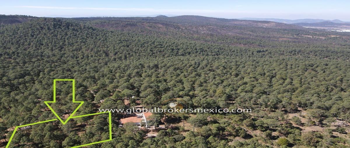 Foto de terreno habitacional en , atemajac de brizuela, atemajac de brizuela, jalisco, 27647917 foto 03 Foto de terreno habitacional en venta en , atemajac de brizuela, atemajac de brizuela, jalisco, 27647917 No. 03