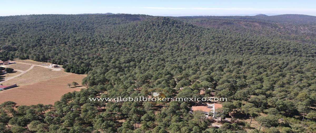 Foto de terreno habitacional en , atemajac de brizuela, atemajac de brizuela, jalisco, 27647917 foto 04 Foto de terreno habitacional en venta en , atemajac de brizuela, atemajac de brizuela, jalisco, 27647917 No. 04