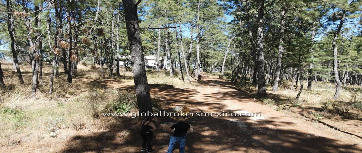 Foto de terreno habitacional en , atemajac de brizuela, atemajac de brizuela, jalisco, 27647917 foto 05 Foto de terreno habitacional en venta en , atemajac de brizuela, atemajac de brizuela, jalisco, 27647917 No. 05
