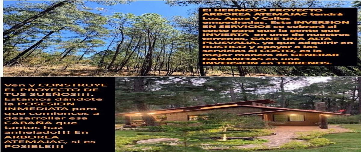 Foto de terreno habitacional en venta en . , atemajac de brizuela, atemajac de brizuela, jalisco, 30217180 No. 04