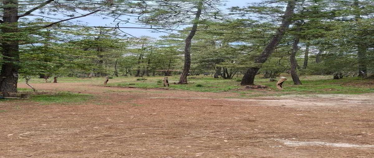 Foto de terreno habitacional en venta en . , atemajac de brizuela, atemajac de brizuela, jalisco, 30217180 No. 05