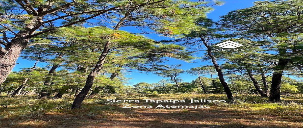 Foto de terreno habitacional en venta en  , atemajac de brizuela, atemajac de brizuela, jalisco, 30777750 No. 03