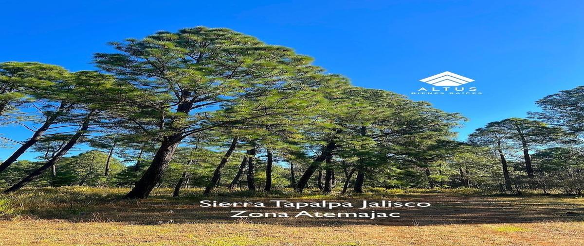 Foto de terreno habitacional en venta en  , atemajac de brizuela, atemajac de brizuela, jalisco, 30777750 No. 05