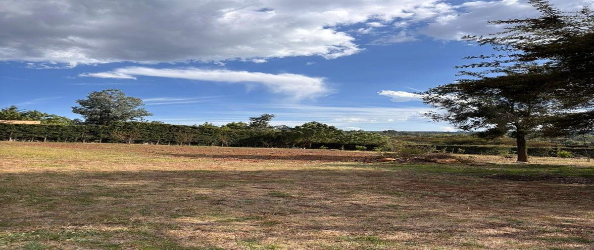 Foto de terreno habitacional en venta en  , atemajac de brizuela, atemajac de brizuela, jalisco, 0 No. 03
