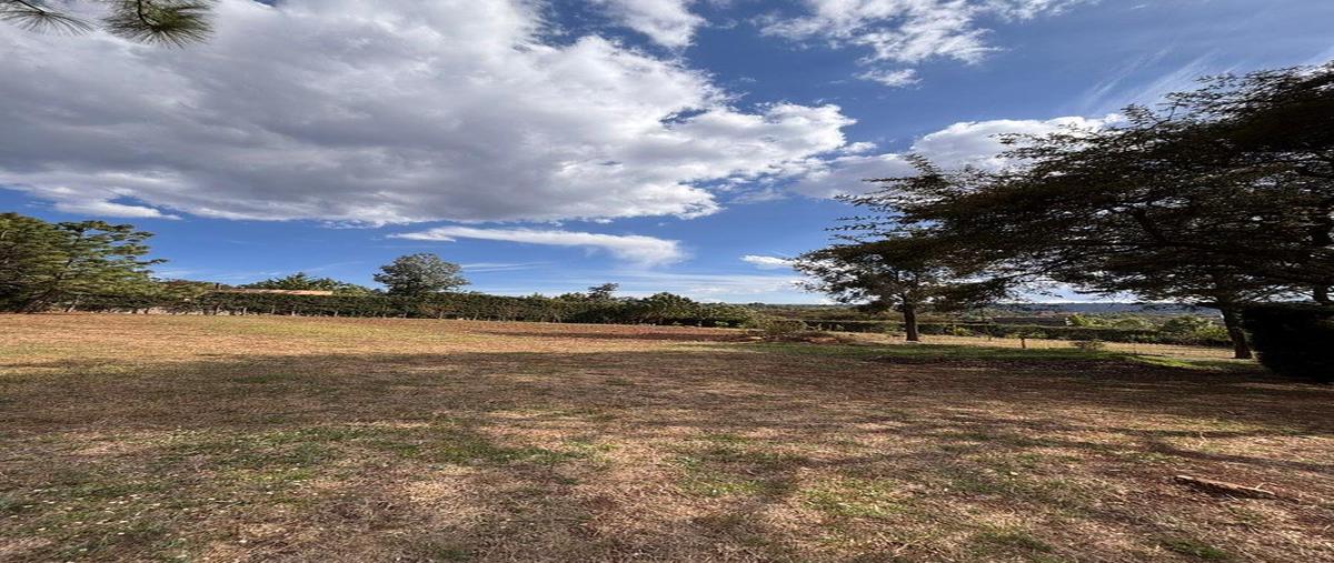 Foto de terreno habitacional en venta en  , atemajac de brizuela, atemajac de brizuela, jalisco, 0 No. 04