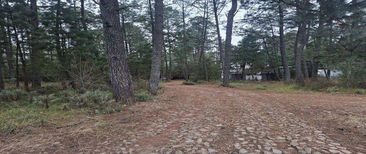 Foto de terreno habitacional en venta en  , atemajac de brizuela, atemajac de brizuela, jalisco, 0 No. 03