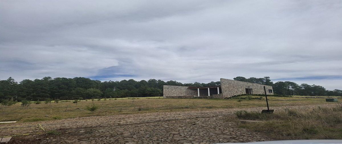 Foto de terreno habitacional en venta en  , atemajac de brizuela, atemajac de brizuela, jalisco, 0 No. 04