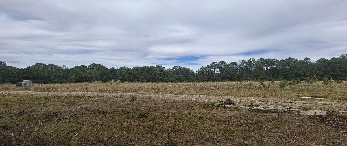 Foto de terreno habitacional en venta en  , atemajac de brizuela, atemajac de brizuela, jalisco, 0 No. 05