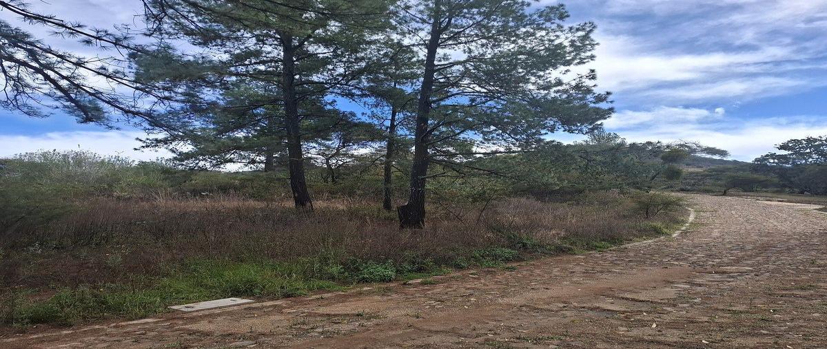 Foto de terreno habitacional en venta en  , atemajac de brizuela, atemajac de brizuela, jalisco, 0 No. 04