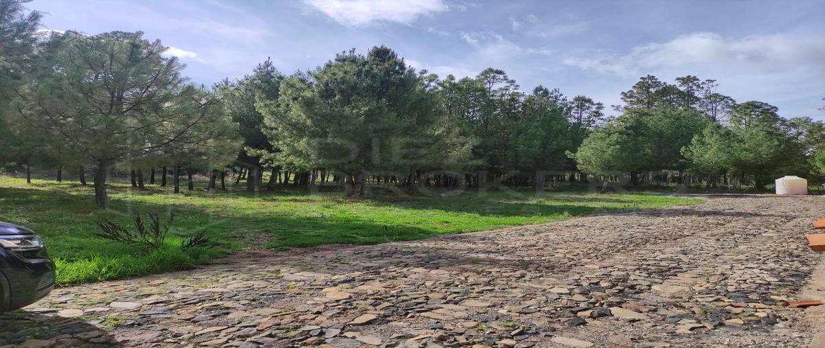 Foto de terreno habitacional en venta en  , atemajac de brizuela, atemajac de brizuela, jalisco, 0 No. 03