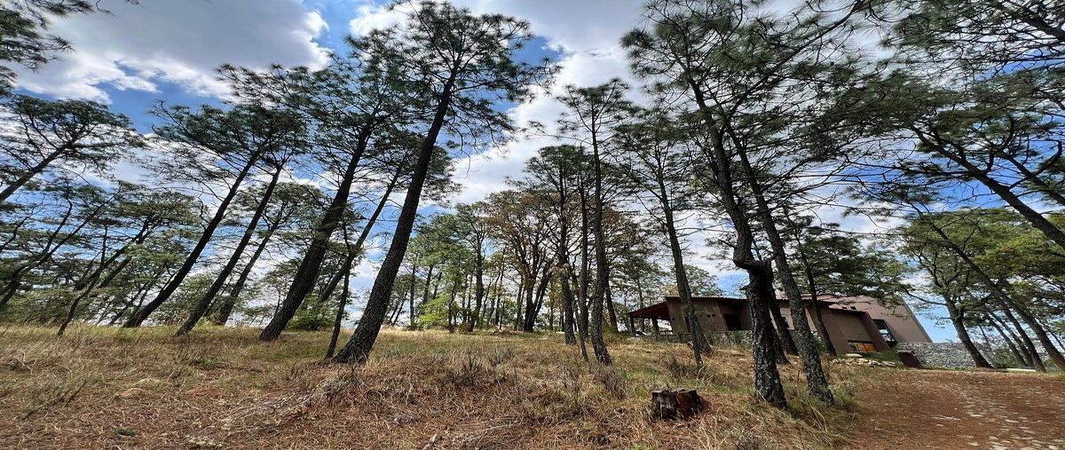 Foto de terreno habitacional en venta en  , atemajac de brizuela, atemajac de brizuela, jalisco, 0 No. 03