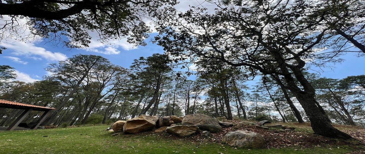 Foto de terreno habitacional en venta en  , atemajac de brizuela, atemajac de brizuela, jalisco, 0 No. 04