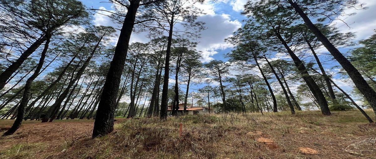 Foto de terreno habitacional en venta en  , atemajac de brizuela, atemajac de brizuela, jalisco, 0 No. 05