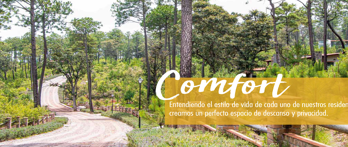 Foto de terreno habitacional en atemajac de brizuela , tapalpa, tapalpa, jalisco, 0 foto 06 Foto de terreno habitacional en venta en atemajac de brizuela , tapalpa, tapalpa, jalisco, 0 No. 06