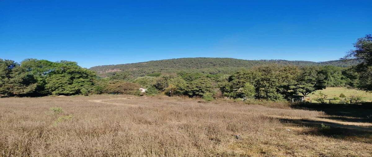 Foto de terreno habitacional en venta en  , atesquelites, valle de bravo, méxico, 27351660 No. 04